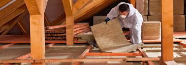 Best Eco-Friendly Insulation Solutions  in Rodney Village, DE